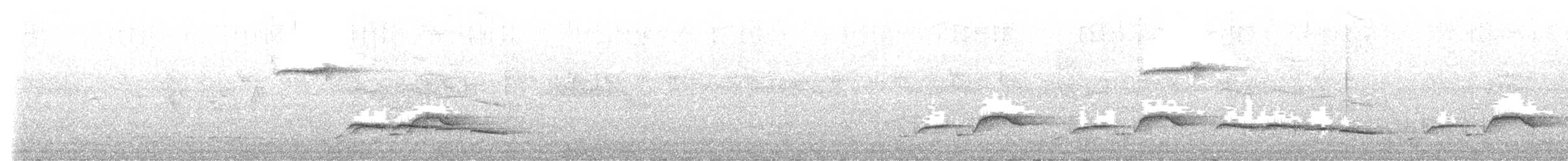 White-breasted Wood-Wren - ML641770243