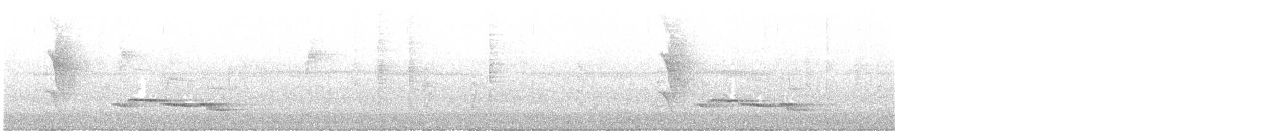 White-breasted Wood-Wren - ML641770244