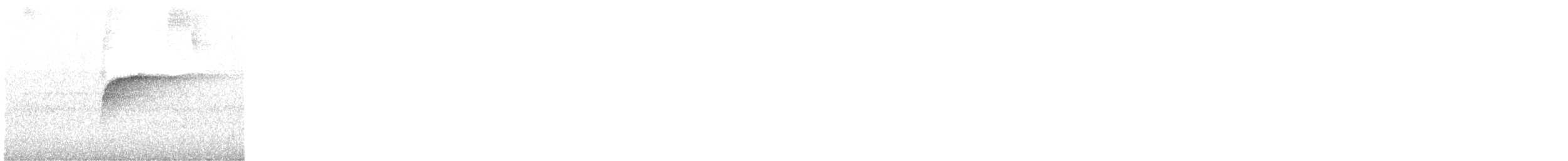 キメジロハエトリ - ML641770280