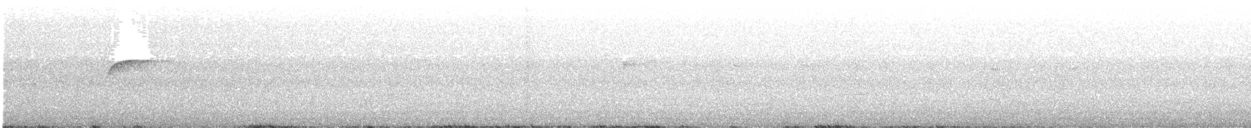 キメジロハエトリ - ML641770281