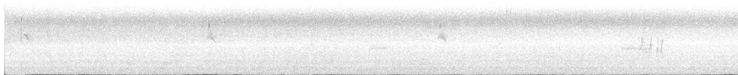 Western Wood-Pewee - ML641770533