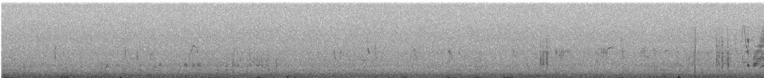 Southern House Wren - ML641770767
