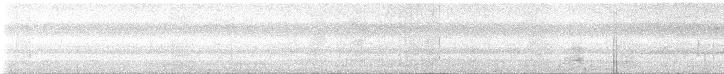 Caspian Tern - ML641770769