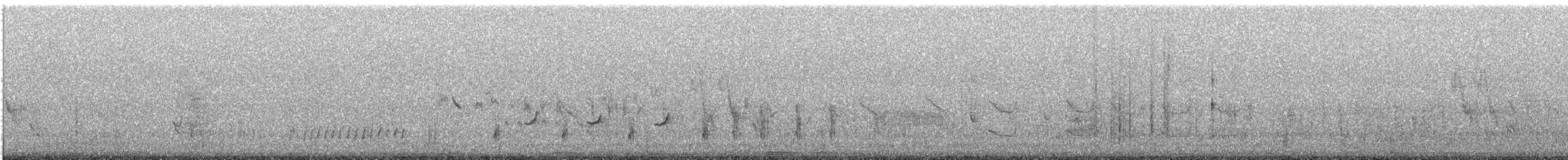 Chilespottdrossel - ML641770833