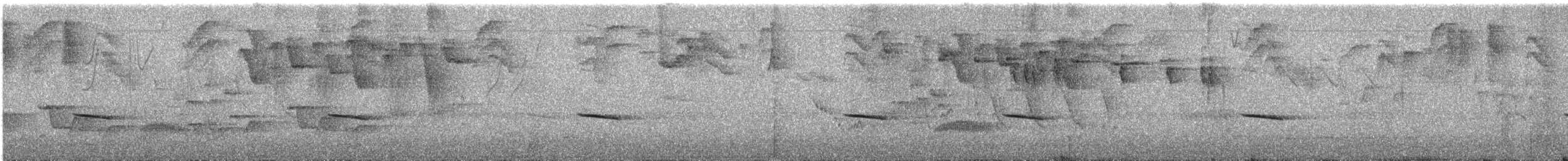 Blue-naped Chlorophonia - ML641771362