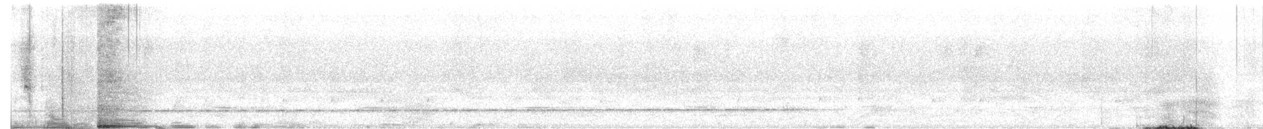 Such's Antthrush - ML641771593
