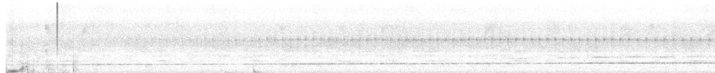 Such's Antthrush - ML641771594