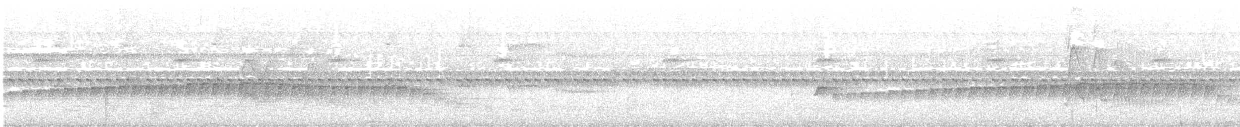 Silberameisenschnäpper - ML641774470