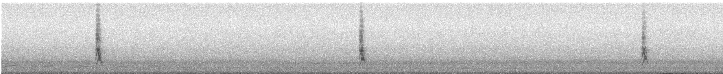 Sturnelle australe - ML641775149