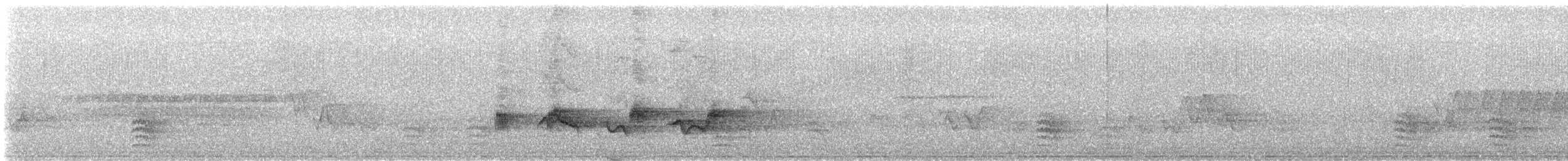 Piranga écarlate - ML641776543