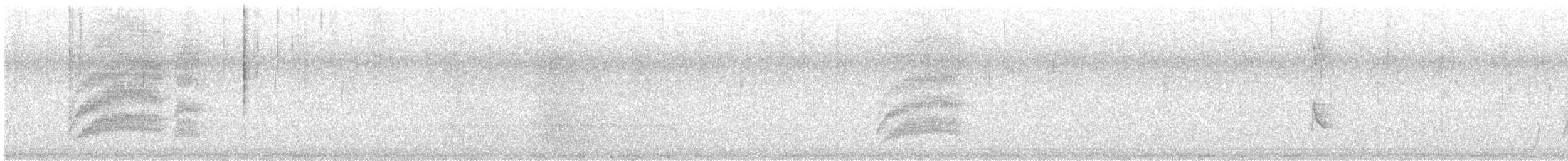 Tyran licteur - ML641778745