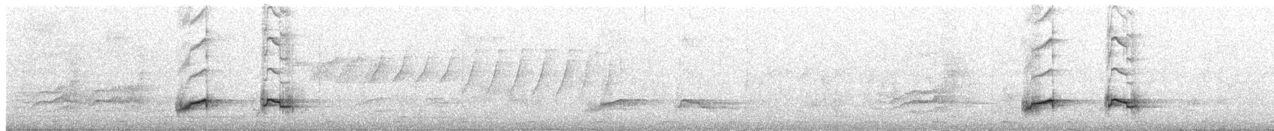 Indian Pitta - ML641778757