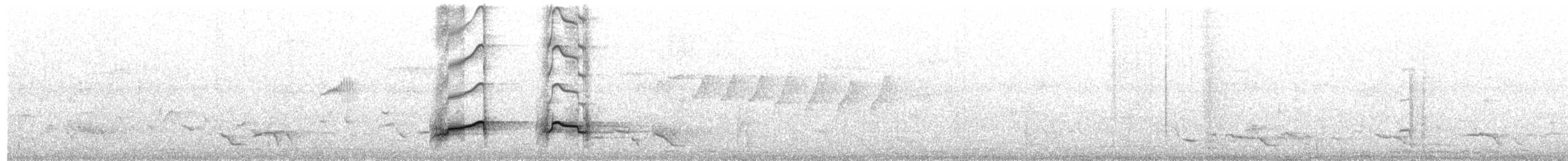 Indian Pitta - ML641778758