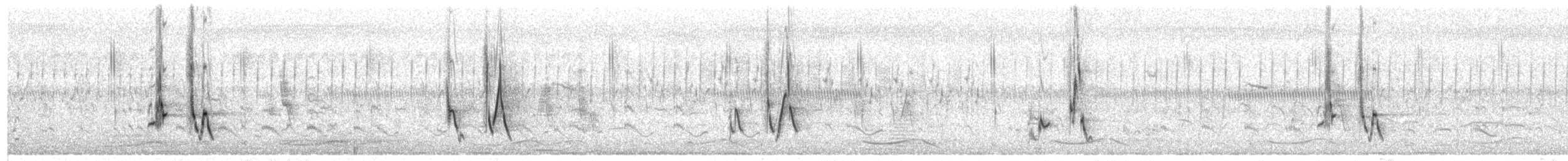 Bristled Grassbird - ML641778783