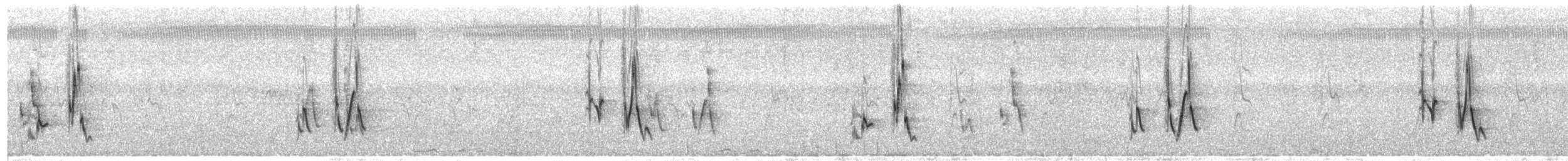 Bristled Grassbird - ML641778784