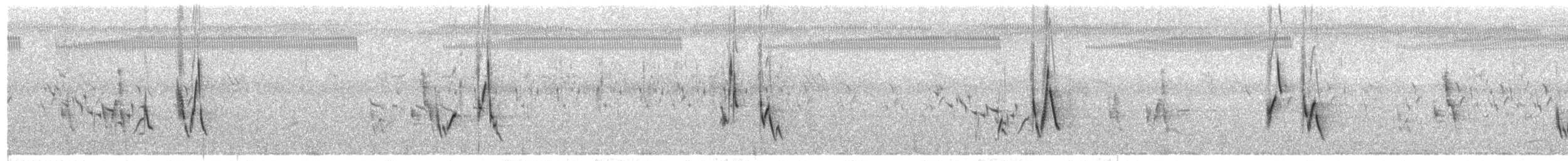 Bristled Grassbird - ML641778785