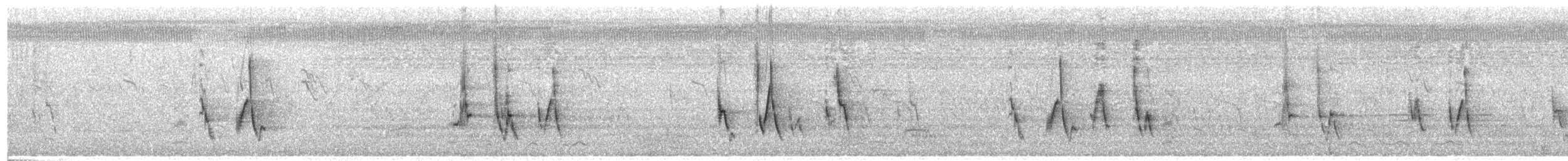 Bristled Grassbird - ML641778786