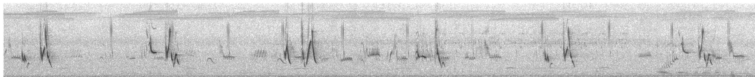 Bristled Grassbird - ML641778787