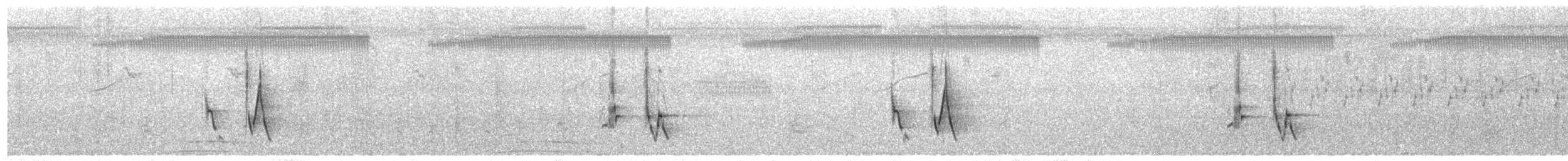 Bristled Grassbird - ML641778788