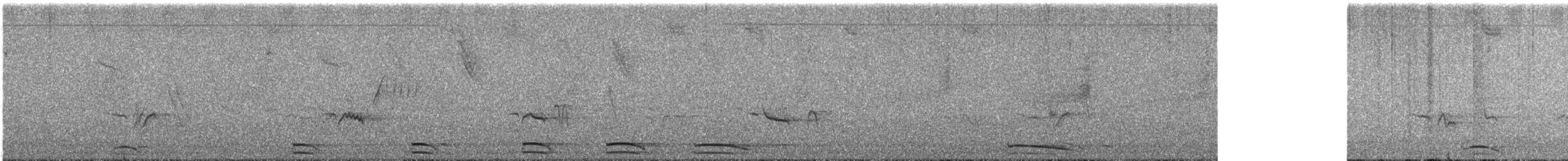 Collared Forest-Falcon - ML641779637