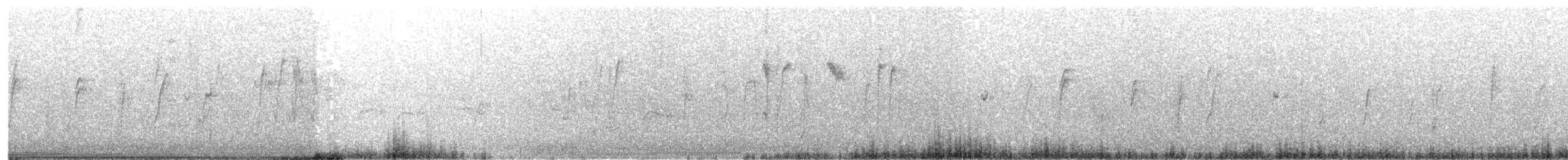 Pin-tailed Whydah - ML641779895