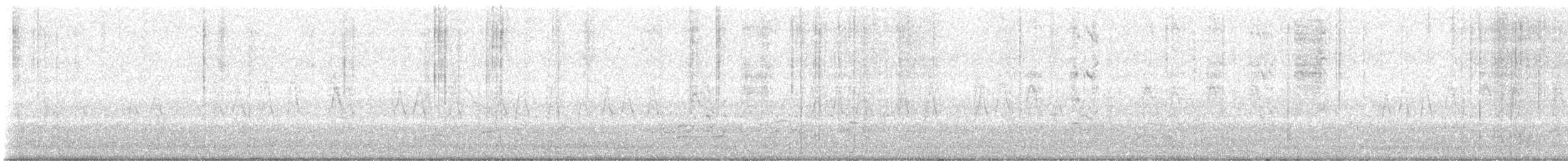Australasian Swamphen - ML641782878