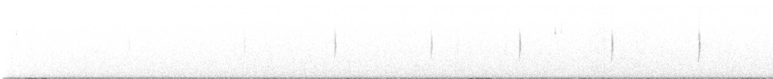 Kronenwaldsänger (Audubonwaldsänger) - ML641784610