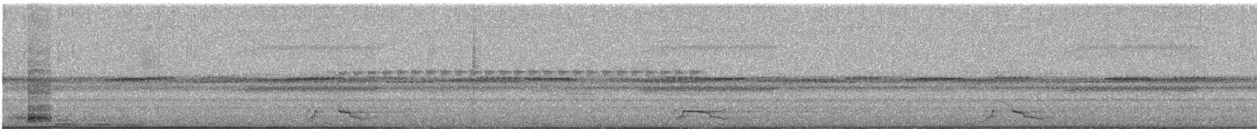 pauraquenattravn - ML641786168