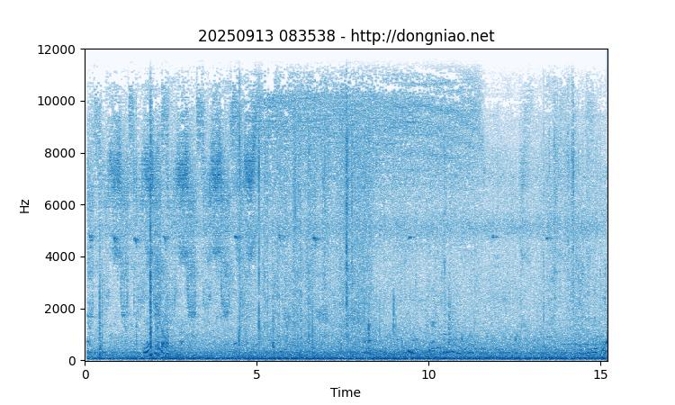 Sakhalin Leaf Warbler - ML641786634