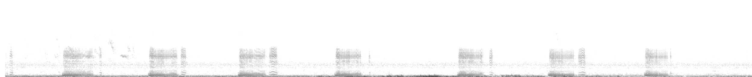Lewin's Rail - ML641787327