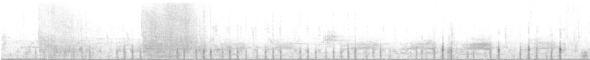 Pacific Black Duck - ML641787583