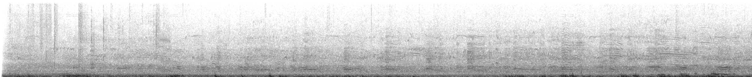 Australian Ibis - ML641787788