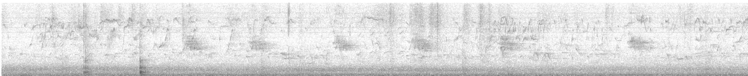 Wattled Starling - ML641788196