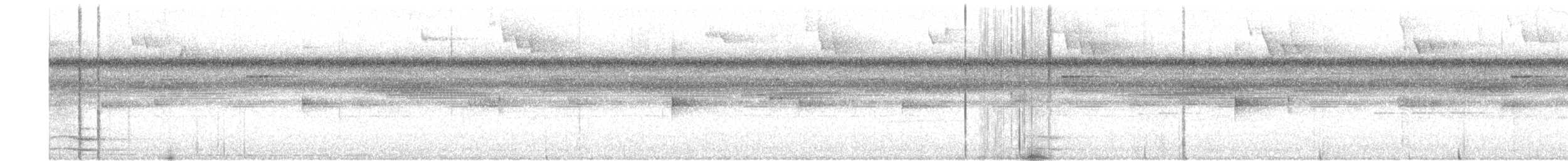 Black-and-white Owl - ML641788788