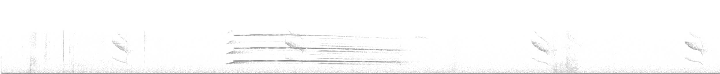 káně samotářská - ML641789033