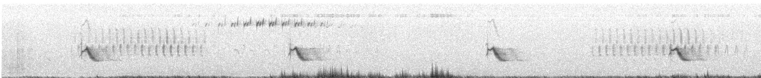 Bicknell's Thrush - ML641790657