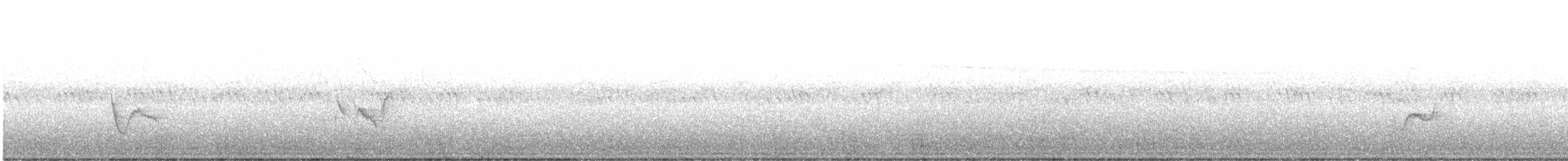 Blue-headed Vireo - ML641790896