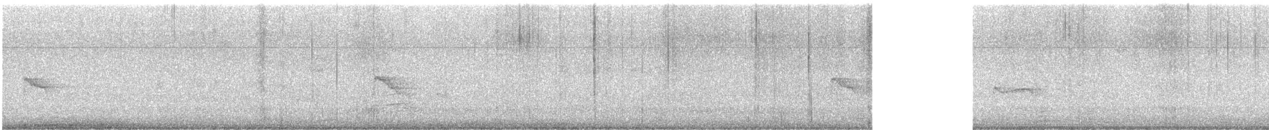 Yellow-bellied Flycatcher - ML641792384