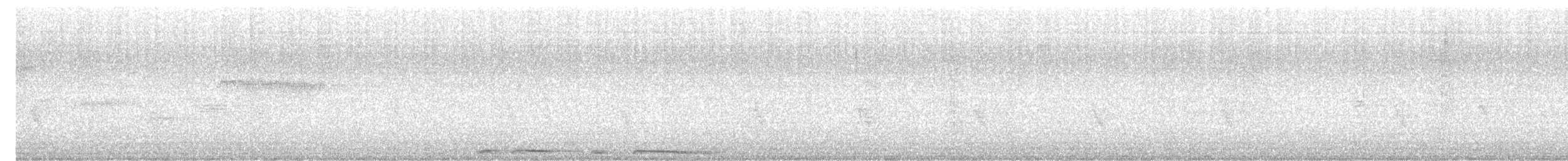 hvitvingedue - ML641792620