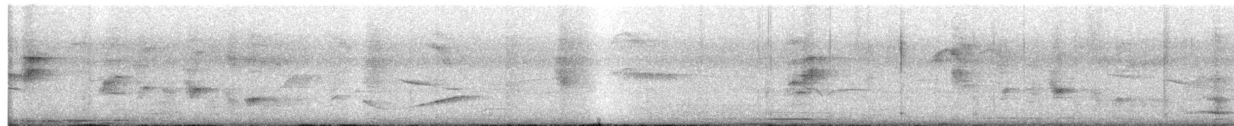 Morelet Tohumculu - ML641792996