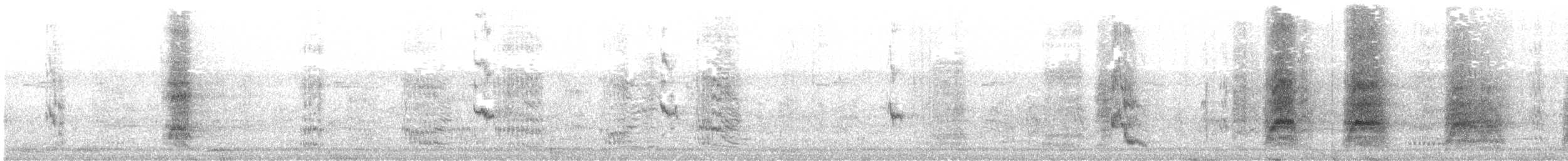 White-throated Magpie-Jay - ML641793243