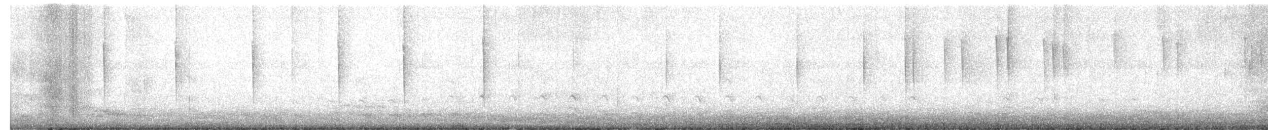 Allen's Hummingbird - ML641793259