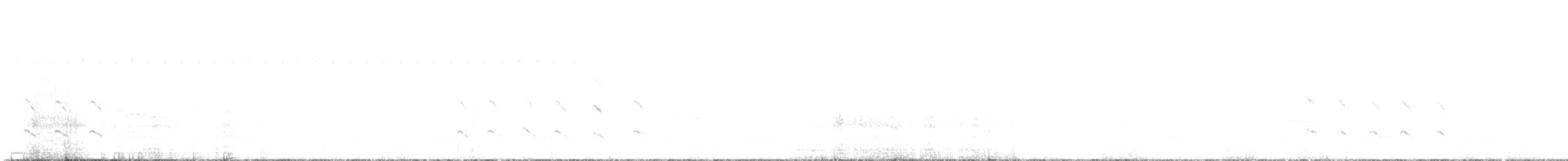 Sharp-shinned Hawk - ML641793646