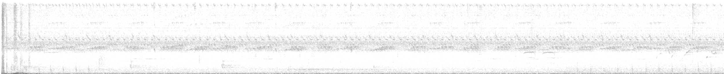 Tacchino selvatico - ML641796301