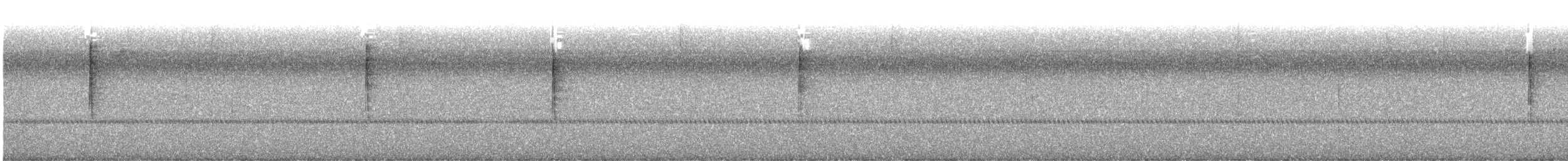 Black-throated Green Warbler - ML641796961
