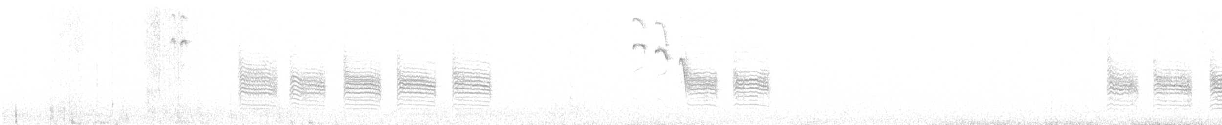 Пухляк - ML641801144
