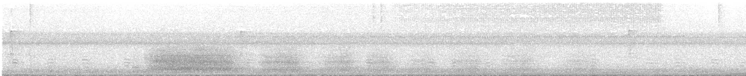 Double-crested Cormorant - ML641802221