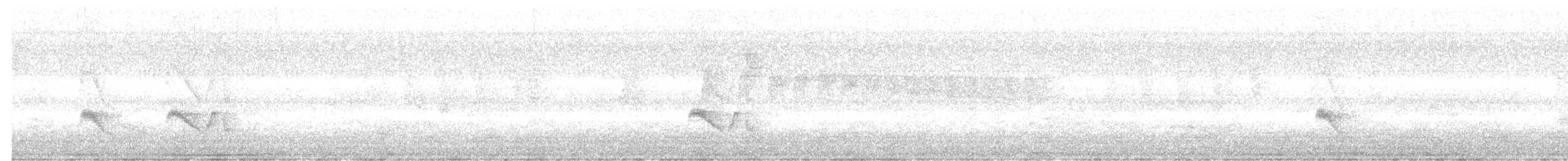 Euler's Flycatcher - ML641802507