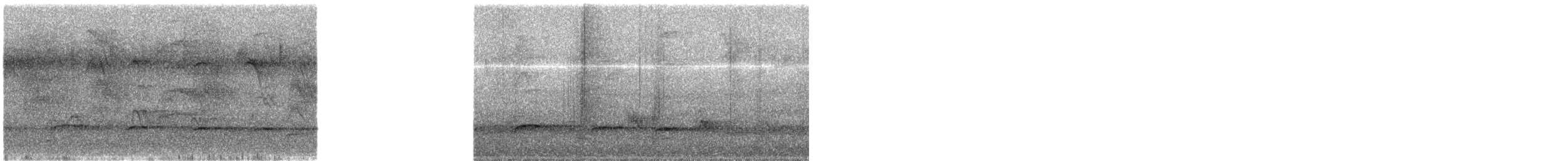 Blond-crested Woodpecker - ML641803095