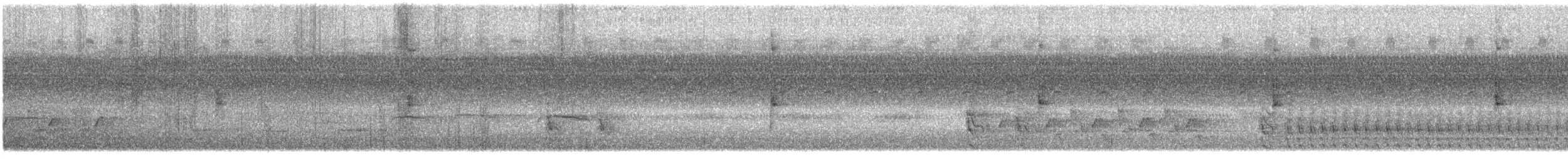 Northern Waterthrush - ML641803386